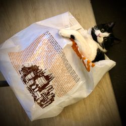 Petsvet Animal Hospital