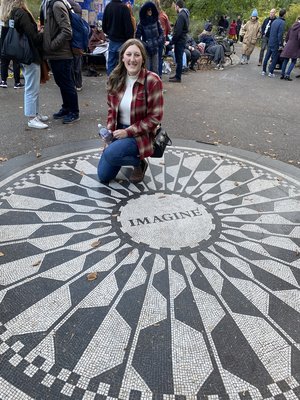 Strawberry Fields by null