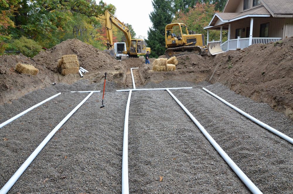 Slide of King Septic