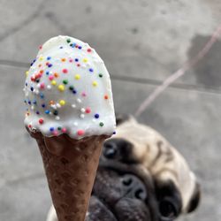 Wilbur Chocolate Retail Store - Chocolate ice cream cone