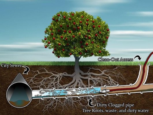 Knight Sewer & Drain