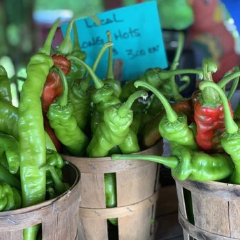Barry Davis Produce Stand - Peppers - Fruits & Veggies Near Me - Collegeville, Pennsylvania Barry Davis Produce Stand - Peppers - Fruits & Veggies Near Me - Collegeville, Pennsylvania