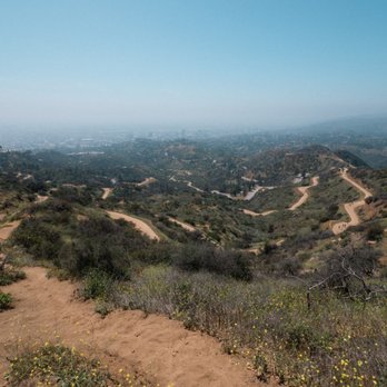 Mt. Hollywood Trail - Hiking Near Me - Los Angeles, California Mt. Hollywood Trail - Hiking Near Me - Los Angeles, California
