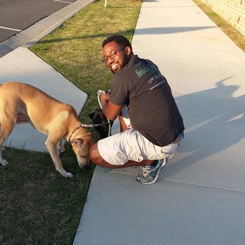 Absolutely Yours Concierge - Robert loves his client's fur babies! - Personal Assistants Near Me Absolutely Yours Concierge - Robert loves his client's fur babies! - Personal Assistants Near Me