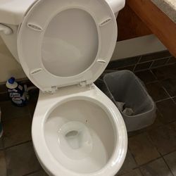 Marinette Inn - Toilet seat up like they cleaned it. If you look I even have cleaner I bought but they couldn't bother to run a brush in it.