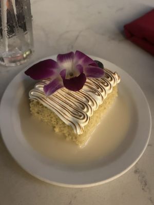 Estefan Kitchen Orlando by null