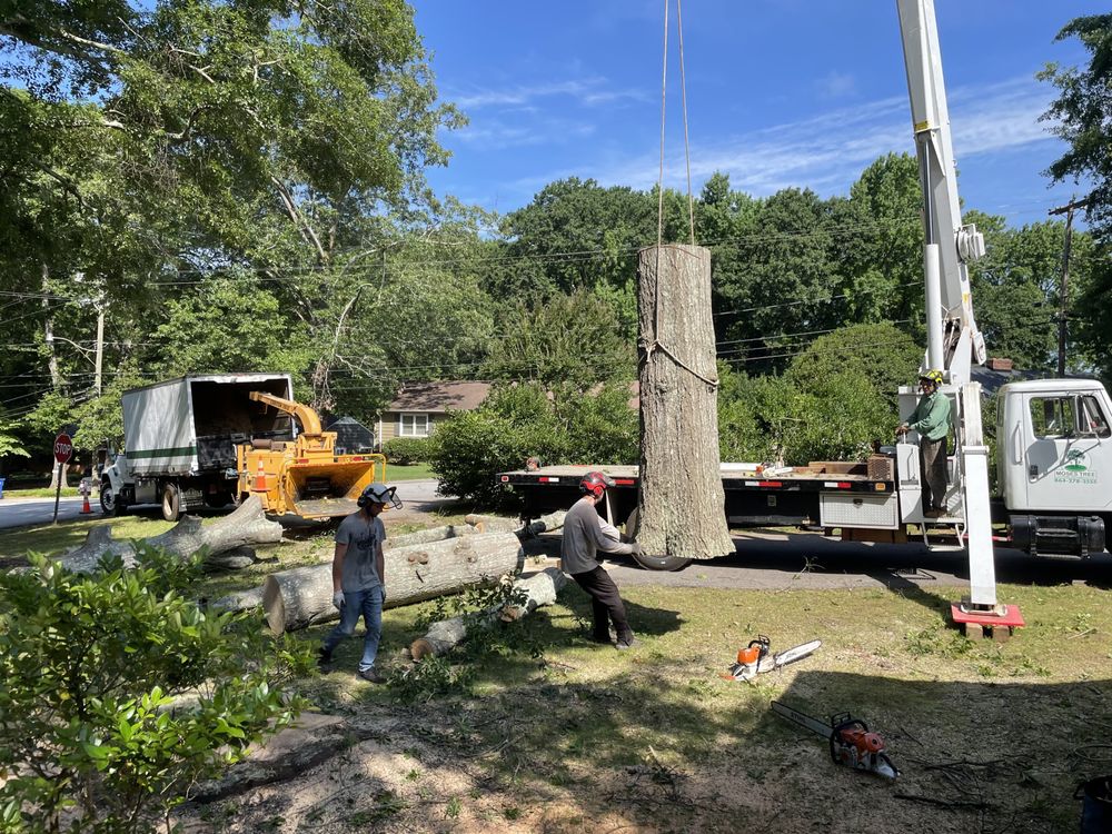 Warrior Tree Service - tree service in Inman, SC