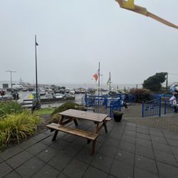 Dingle Oceanworld Mara Beo - View of the foggy harbor from the aquarium.