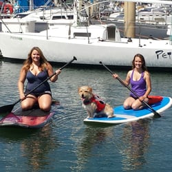 Oceanside Paddleboard - There is even room for the family dog!