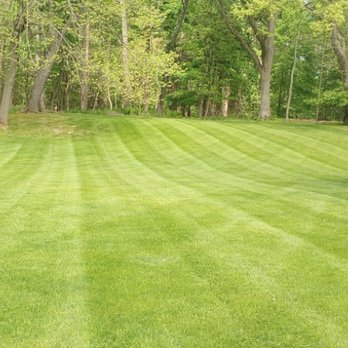 Currington Lawn Care - Lawn Services Near Me Currington Lawn Care - Lawn Services Near Me