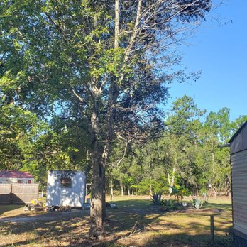 Arbory Masters - Tree Services Near Me - Warsaw, North Carolina Arbory Masters - Tree Services Near Me - Warsaw, North Carolina