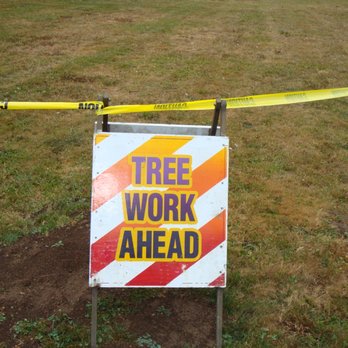 Limbwalker Tree Care - safety first - Tree Services Near Me