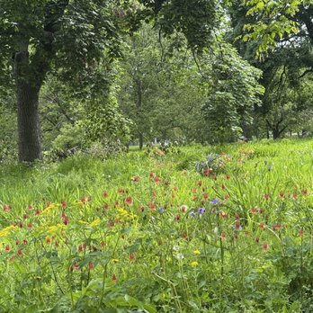 Garfield Park - Field - Parks Near Me - Chicago, Illinois