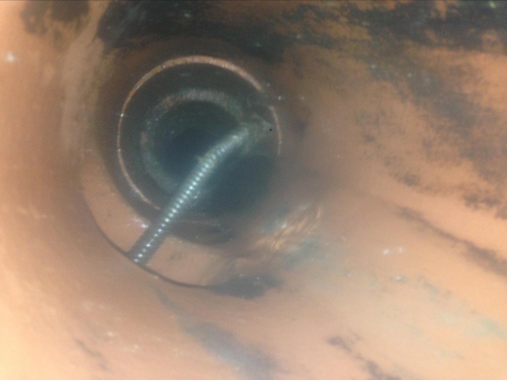 Slide of Choo Choo Rooter