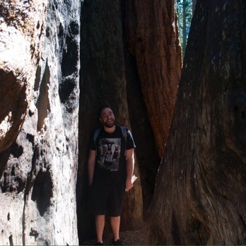 Calaveras Big Trees State Park - Parks Near Me - Arnold, California Calaveras Big Trees State Park - Parks Near Me - Arnold, California
