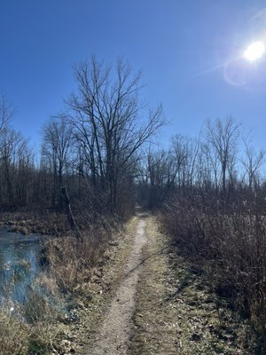 Potato Creek State Park by null