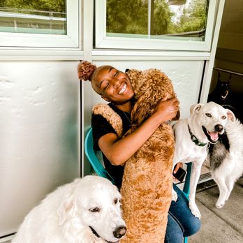Go Dog - Pet Groomers Near Me - Nashville, Tennessee Go Dog - Pet Groomers Near Me - Nashville, Tennessee