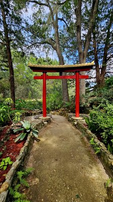 Cedar Lakes Woods and Gardens by null