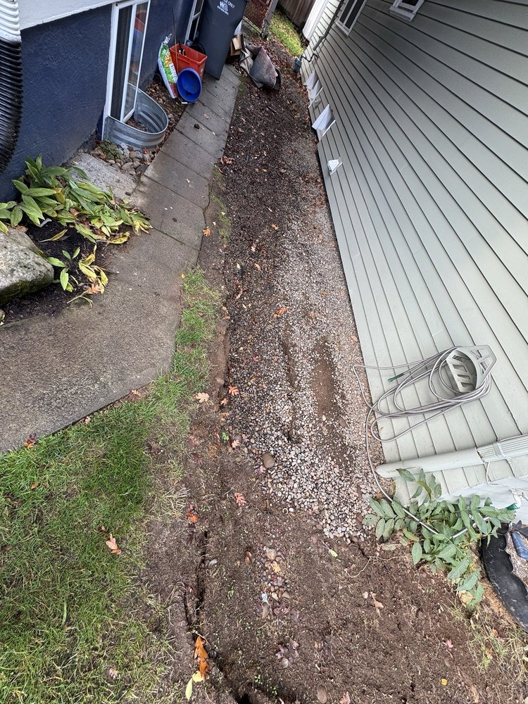 Speedy Inspections - mold inspector in Clackamas, OR