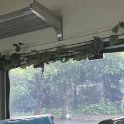 Warren County Winery Train