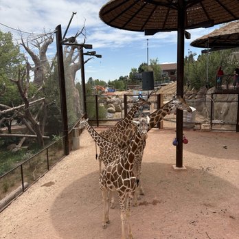 Cheyenne Mountain Zoo - Zoos Near Me - Colorado Springs, Colorado Cheyenne Mountain Zoo - Zoos Near Me - Colorado Springs, Colorado