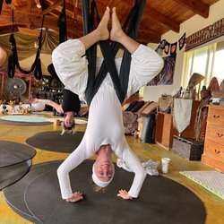 Black Swan Temple - Aerial yoga 2