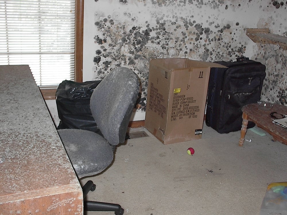 RC Certified Inspections - mold inspector in Olathe, KS