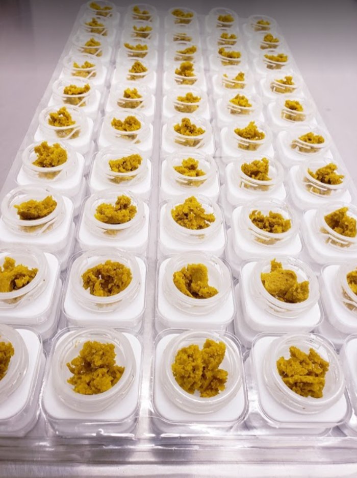 DENCO Updated July 2024 922 E Kimble Dr, Pueblo West, Colorado