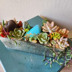 Francesca's Flowers & Gardens - Gardend Gems: Succulent Garden in Mercury Glass