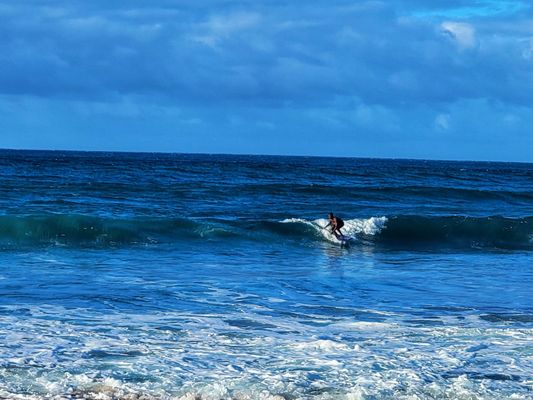 D.T. Fleming Beach Park by null