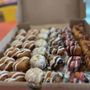 Photo of Sugar llamas - Fort Smith