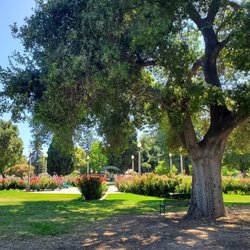 University Park World Peace Rose Garden - Garden