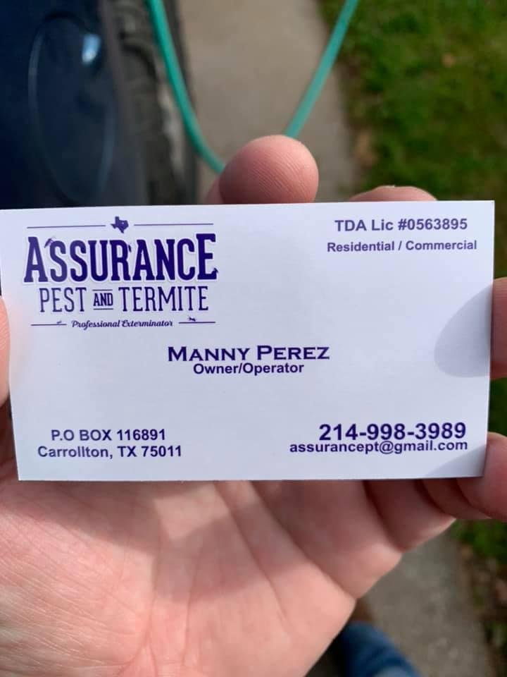 ASSURANCE PEST AND TERMITE 14 Photos Carrollton, Texas Pest