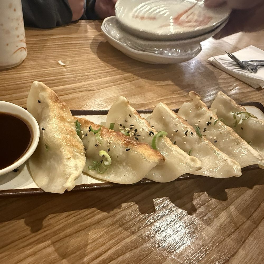 Wonderful Hand Pulled Noodle - Pot stickers - Noodles Near Me - Orlando, Florida Wonderful Hand Pulled Noodle - Pot stickers - Noodles Near Me - Orlando, Florida
