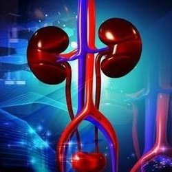 Urology Partners - Untitled