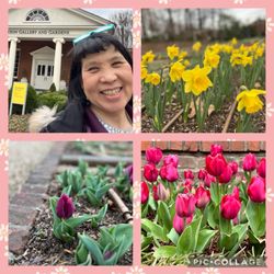 Dixon Gallery & Gardens - My visit and flowers
