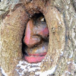Forsthaus Heiligkreuz - Einer der vielen Baumgeister entlang der Steckeschlääfer-Klamm