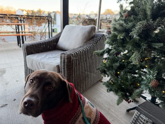 The River Room by null