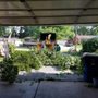 Photo of Lagos Tree Service