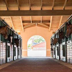 Main barn