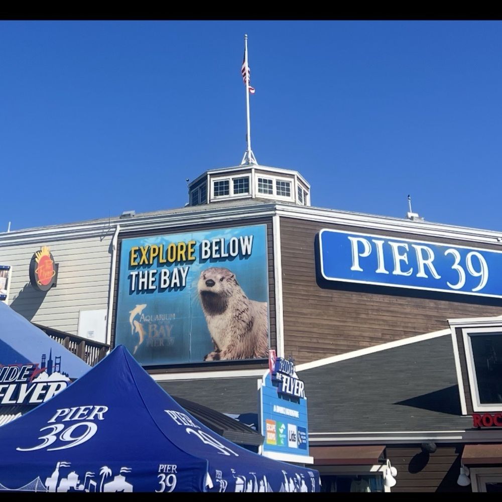 PIER 39 - Fun on the otter side - Shopping Centers Near Me - San Francisco, California