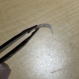 my cut nail where you can see how thick the gel is and how thin my nail was filed my cut nail where you can see how thick the gel is and how thin my nail was filed