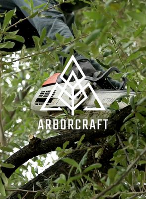 Professional Tree Services - ArborCraft Tree Service is a family-owned and operated business that provides honest, professional and quality tree care to the Phoenix area and surrounding cities. It’s not just a job for us; we love what we do. We’re passionate about tree care, and we’re very good at it. We pair each crew with at least one certified arborist to guarantee highest quality and most efficient work. We are very knowledgeable and ensure that you get what you’re paying for.
Our experienced teams of highly-trained and skilled tree workers have decades of shared experience trimming and caring for trees, and have the right training, tools, and know-how to tackle any tree problem you call us with. ArborCraft complies with International Society of Arboriculture Standards to leave your trees looking healthier than ever. ArborCraft Tree Service is dedicated to offering the best possible services, convenient and efficient times, and the best prices to all of its clients. Professional Tree Services - ArborCraft Tree Service is a family-owned and operated business that provides honest, professional and quality tree care to the Phoenix area and surrounding cities. It’s not just a job for us; we love what we do. We’re passionate about tree care, and we’re very good at it. We pair each crew with at least one certified arborist to guarantee highest quality and most efficient work. We are very knowledgeable and ensure that you get what you’re paying for.
Our experienced teams of highly-trained and skilled tree workers have decades of shared experience trimming and caring for trees, and have the right training, tools, and know-how to tackle any tree problem you call us with. ArborCraft complies with International Society of Arboriculture Standards to leave your trees looking healthier than ever. ArborCraft Tree Service is dedicated to offering the best possible services, convenient and efficient times, and the best prices to all of its clients.