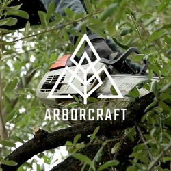 ArborCraft Tree Service - ArborCraft Tree Service climber trimming a tree in Phoenix, AZ