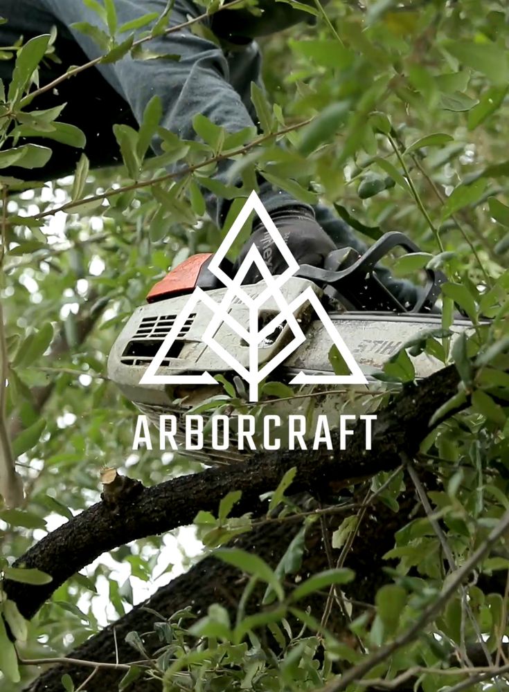 ArborCraft Tree Service - tree service in Phoenix, AZ