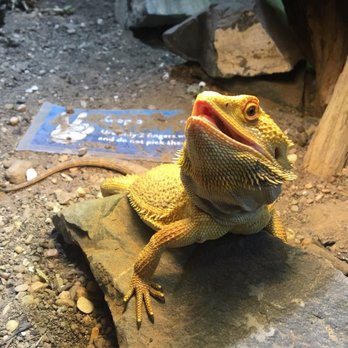 Austin Aquarium - Aquariums Near Me - Austin, Texas Austin Aquarium - Aquariums Near Me - Austin, Texas