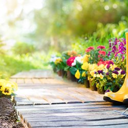 Sunnycrest Nursery Florist & Decor