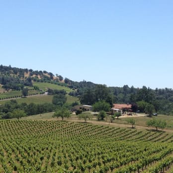 BellaGrace Vineyards - No view? - Wineries Near Me - Plymouth, California BellaGrace Vineyards - No view? - Wineries Near Me - Plymouth, California
