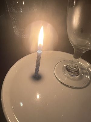 Bowery Bungalow by null