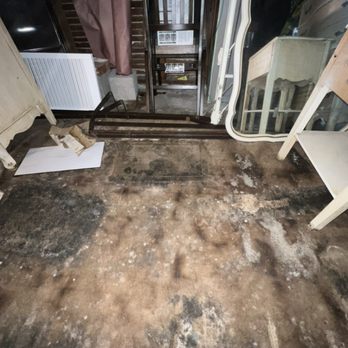 3 Step Restoration - Removing Mold affected rug in Oakland. - Damage Restoration Near Me 3 Step Restoration - Removing Mold affected rug in Oakland. - Damage Restoration Near Me